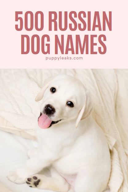 500 Russian Dog Names