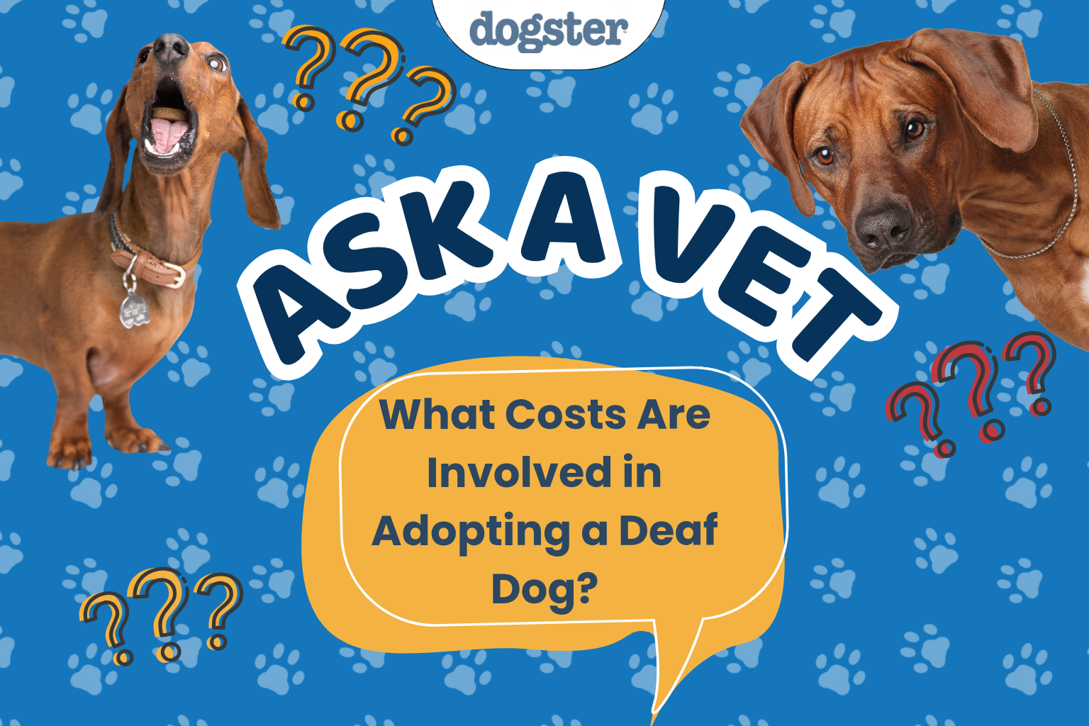 Ask Dr. Paola - HELP! What Costs Are Involved in Adopting a Deaf Dog? (August 10, 2026)