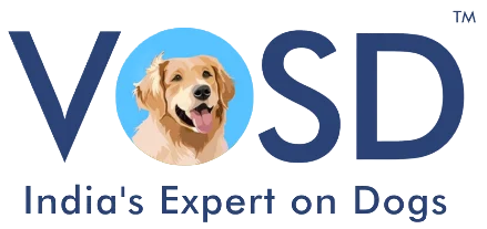 Best Diet for Dogs with Heart Disease