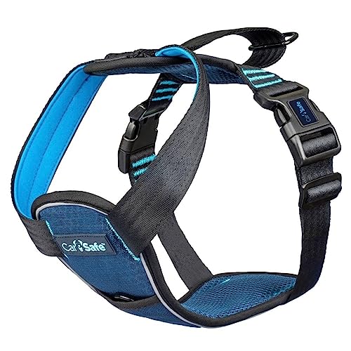CarSafe Crash Tested Dog Harness – An Honest Review