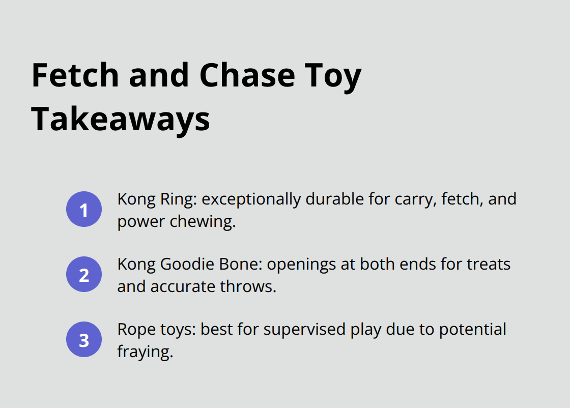 Dog Enrichment Toys: Toys That Spark Play, Learning, and Tail Wagging