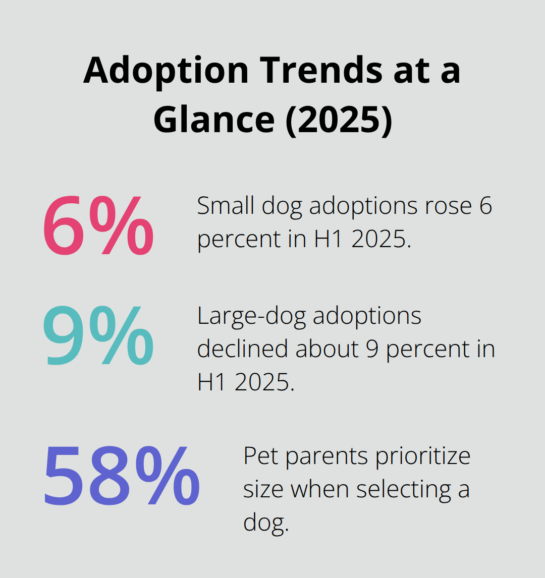 Dog News Roundups 2026: Weekly Highlights From the Canine World