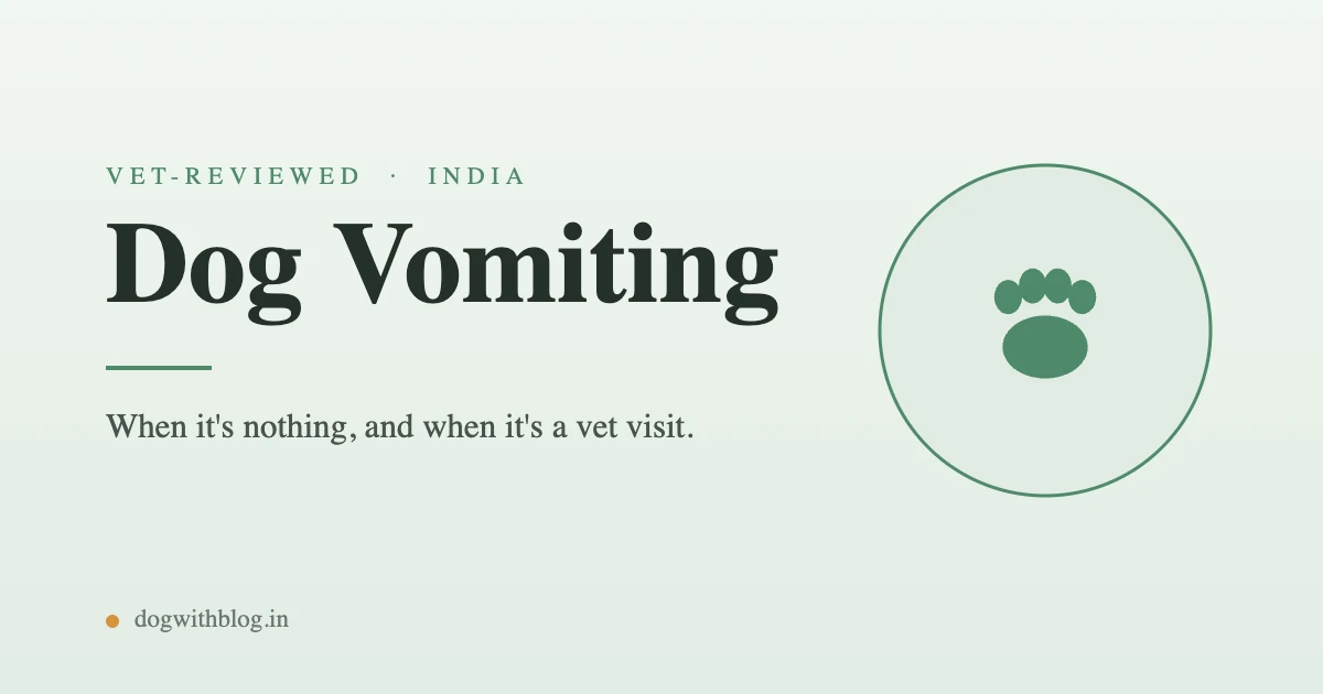 Dog Vomiting: Why It Happens and When to See a Vet