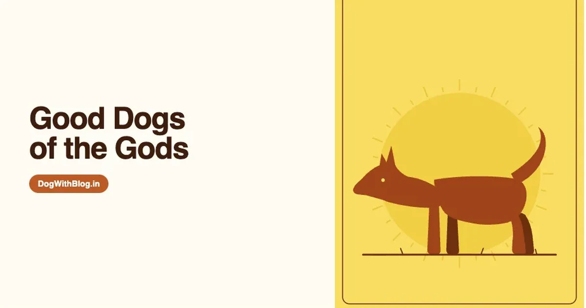 Dogs in Hinduism: Why Our Oldest Stories Put a Dog at Every Doorway