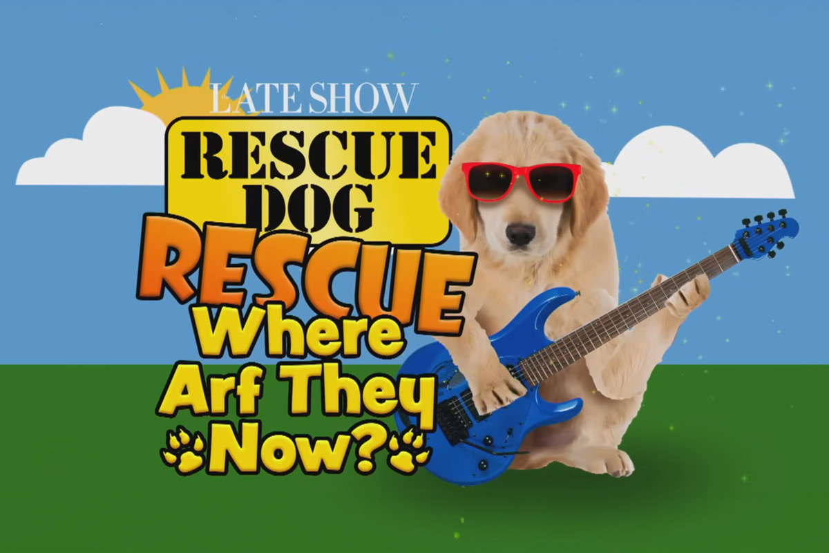 Fond Farewell to Stephen Colbert & Rescue Dog Rescue