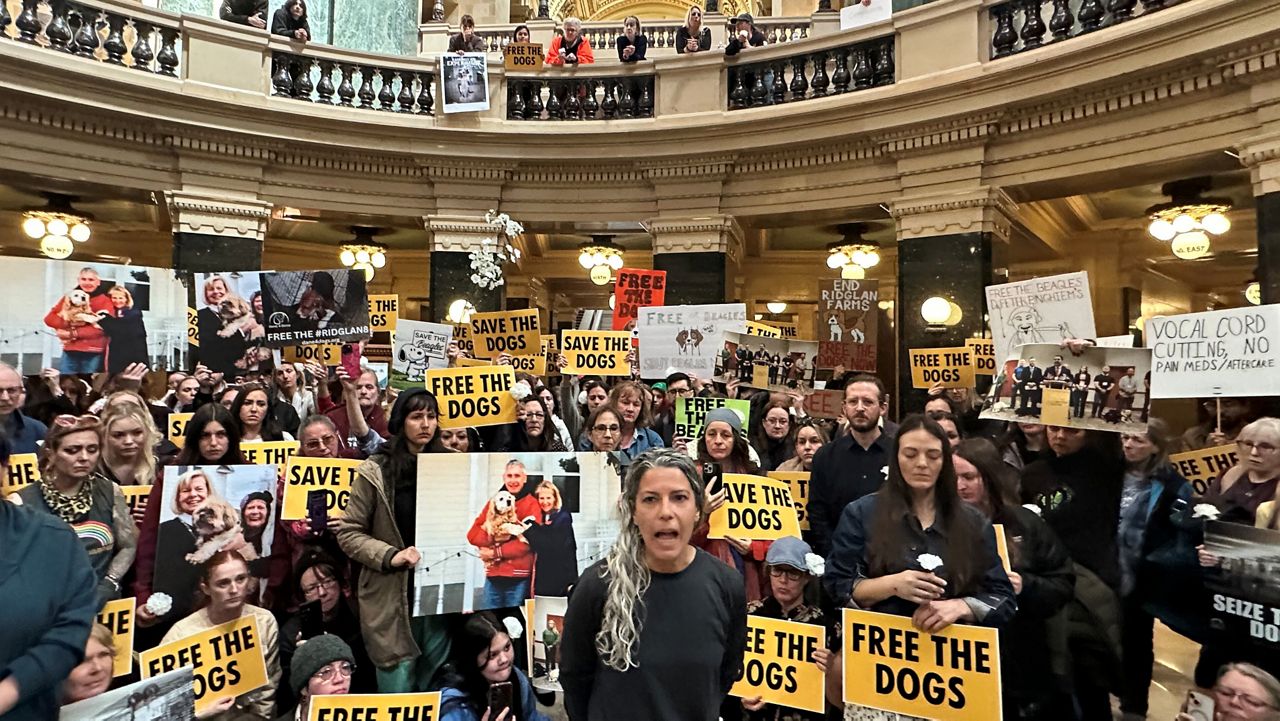 Free the Dogs: Hundreds of Protesters Storm Wisconsin Capitol Demanding Release of 2,000 Beagles From Research Facility