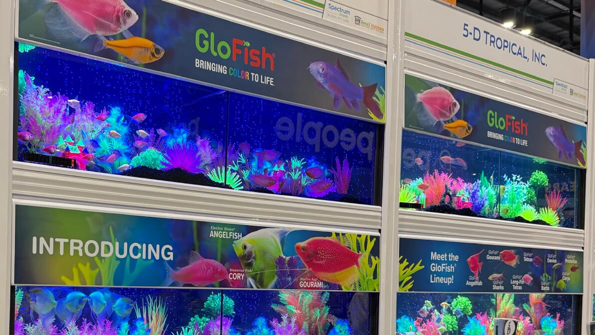 Global Pet Expo 2026: AI Innovation, Cat Trends, Aquatic Fish and Select New Pet Products