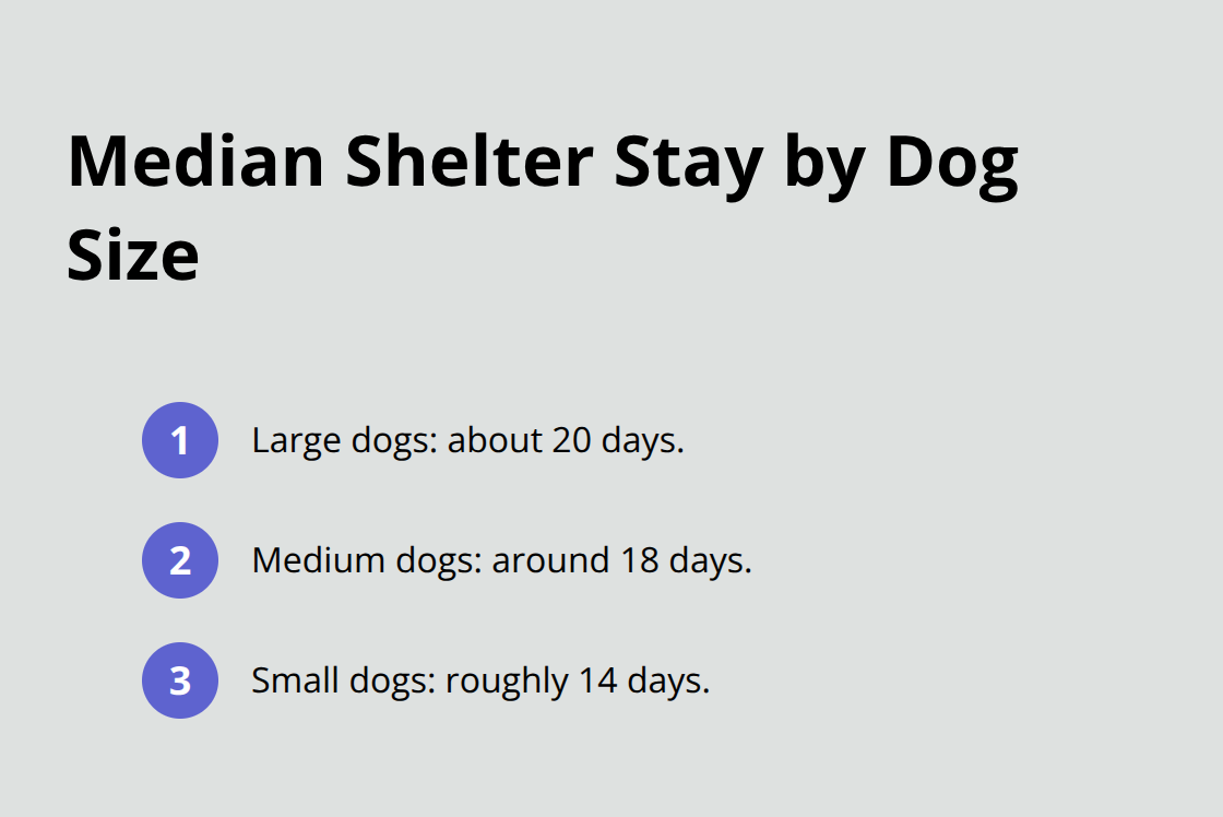 How To Foster Dogs: Open Your Home, Save A Life