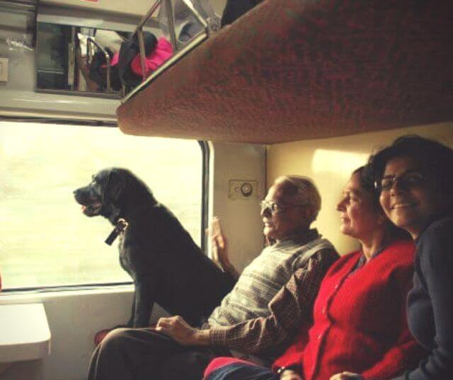 How to Travel With Your Dog in India: Train & Flight Rules (2026)