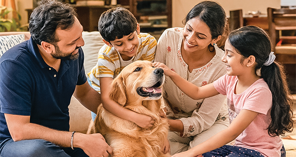 India’s Pet Care Moment: Why the Signs Matter More Than the Numbers
