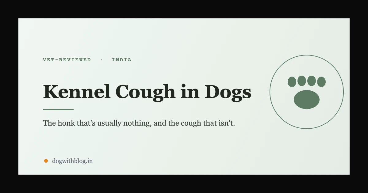 Kennel Cough in Dogs: How to Tell It Apart From Something Worse