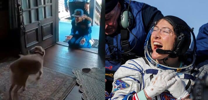 NASA Astronaut Christina Koch’s Heartwarming Reunion With Her Dog Sadie After Moon Mission Goes Viral