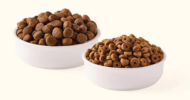 Racine Alimentos: Building the Backbone of Pet Nutrition
