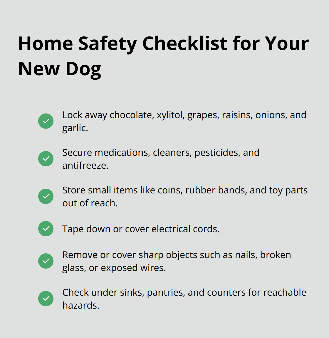 Smooth Transition: Home Acclimation Plan Dogs For A Stress-Free Start