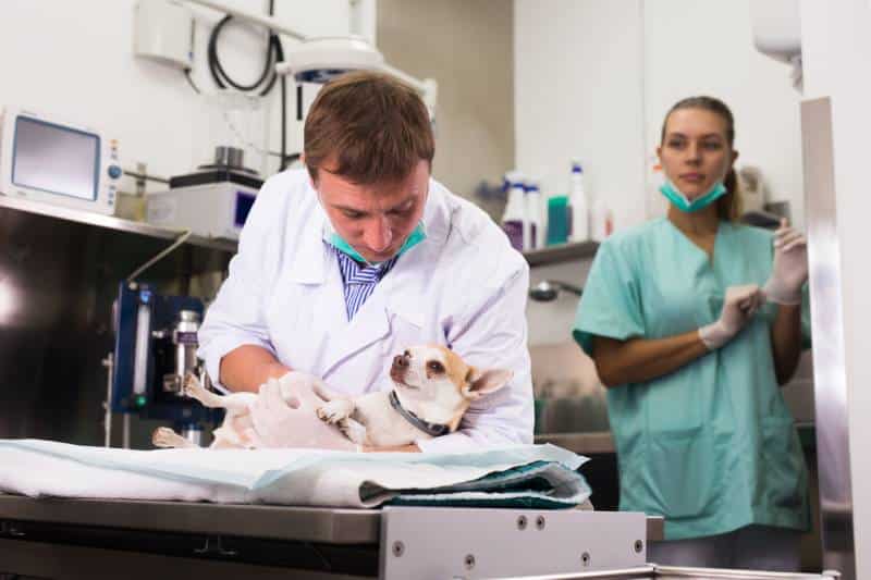The Algorithm in the Exam Room: Who’s To Blame When AI Misdiagnosis Turns Deadly?