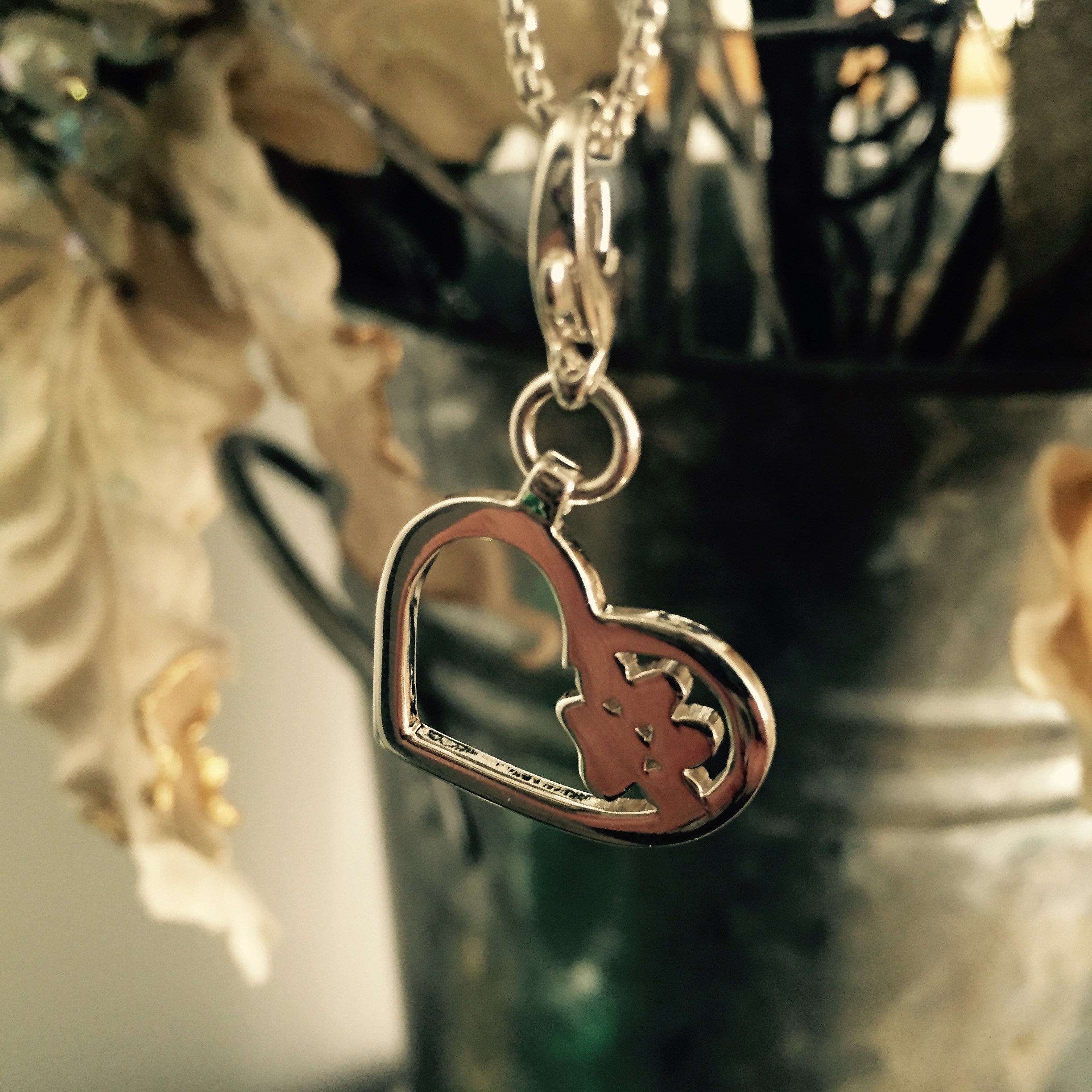 The Heart-Paw Charm: A Goodnewsforpets Exclusive