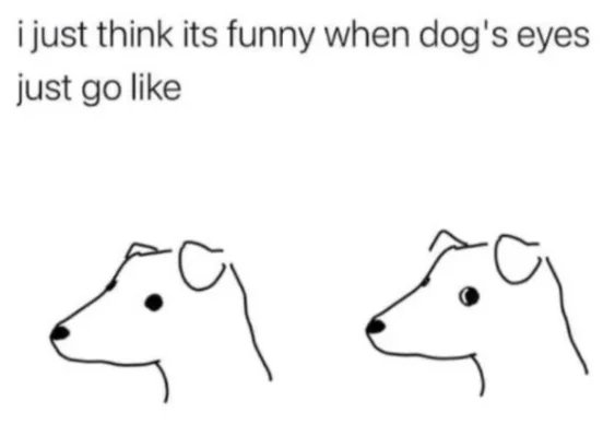 Why Do Dogs Give The Side Eye