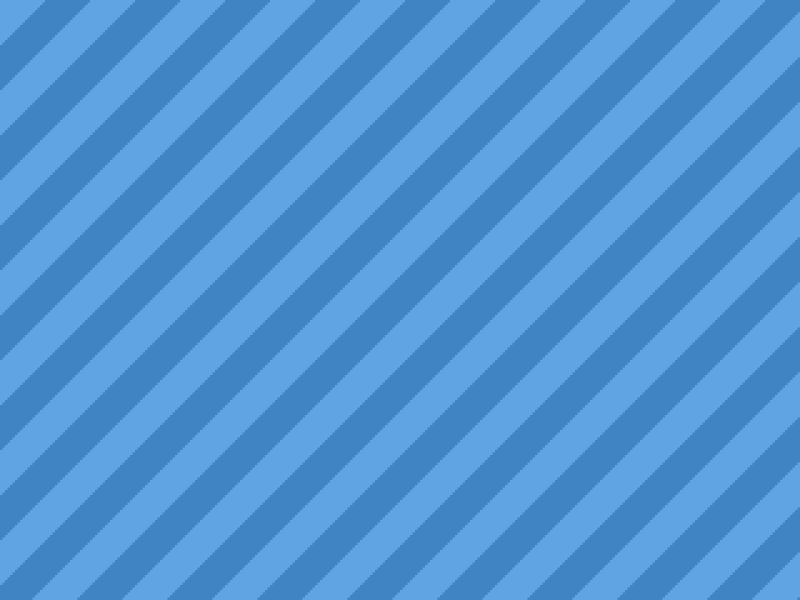 Variety Persian Cat 20260422124139-2 – Persian Cat