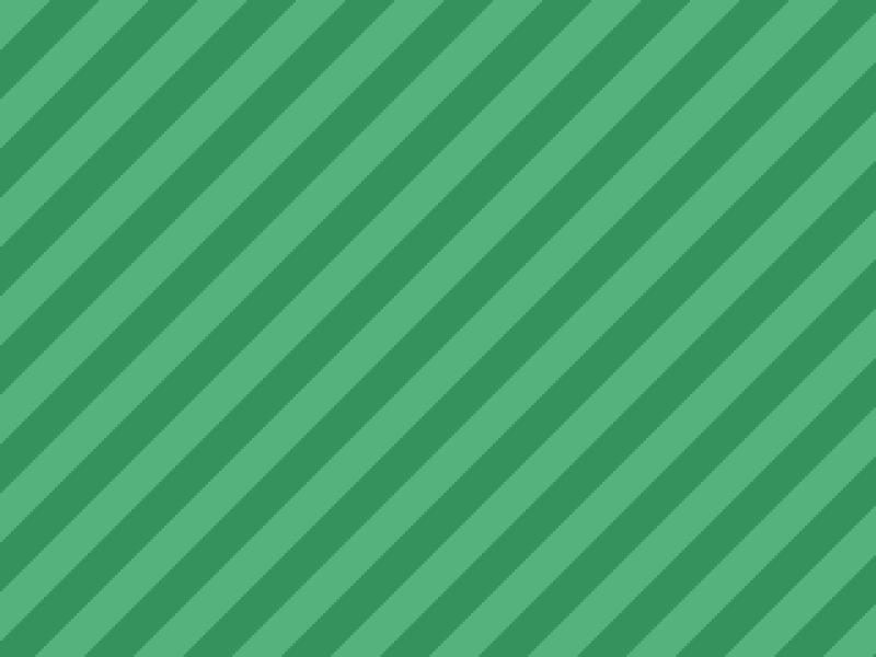 Variety Cockatiel 20260422124139-3 – Cockatiel