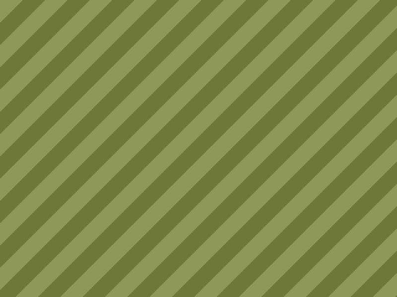 Variety Pomeranian 20260422124139-8 – Pomeranian