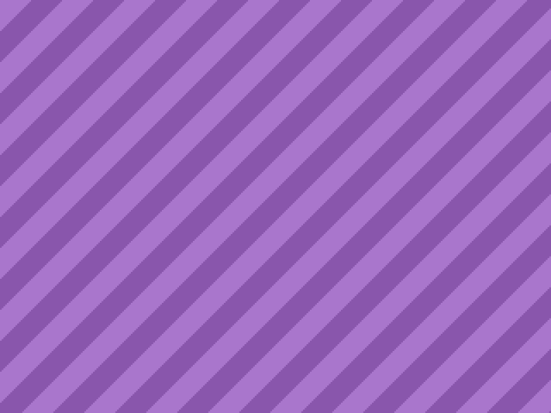 Variety Netherland Dwarf Rabbit 20260422124139-5 – Netherland Dwarf Rabbit